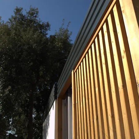 Mobile - Exclusive *