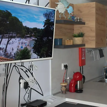 Kemping Mobile - Exclusive *