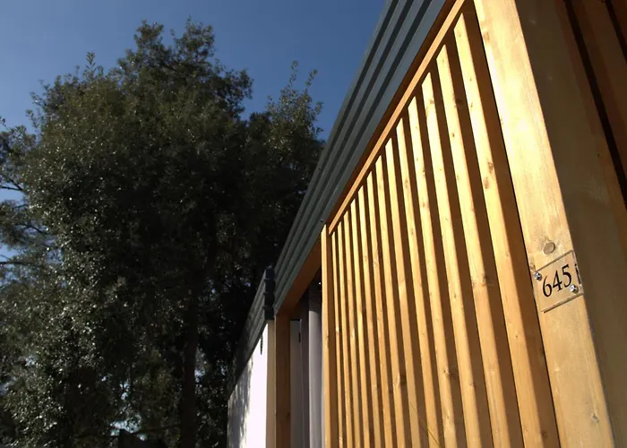 Mobile - Exclusive *